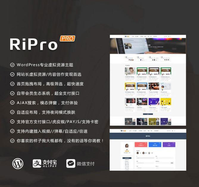 L91 WordPress主题 RiProV4.3.0破解去授权无限制版本